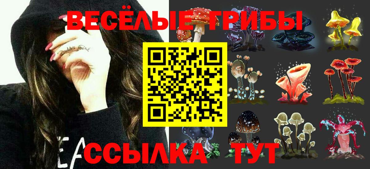 Псилоцибиновые грибы мухоморы  Вход с VPN  Семёнов  Псилоцибиновые грибы ЛСД 