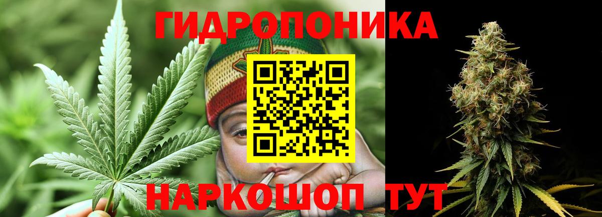 Каннабис сатива  Вход с VPN  Семёнов  Марихуана ГИДРОПОН  Каннабис AK-47  Конопля конопля 